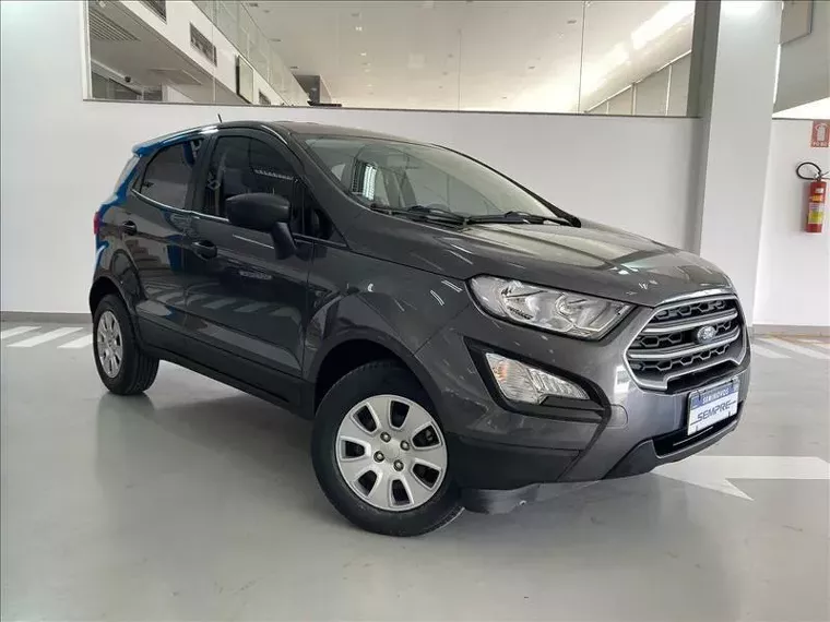 Ford Ecosport Cinza 2