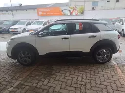 C4 Cactus