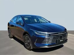 BYD King