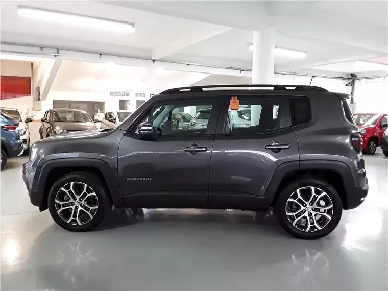 Jeep Renegade Cinza 3