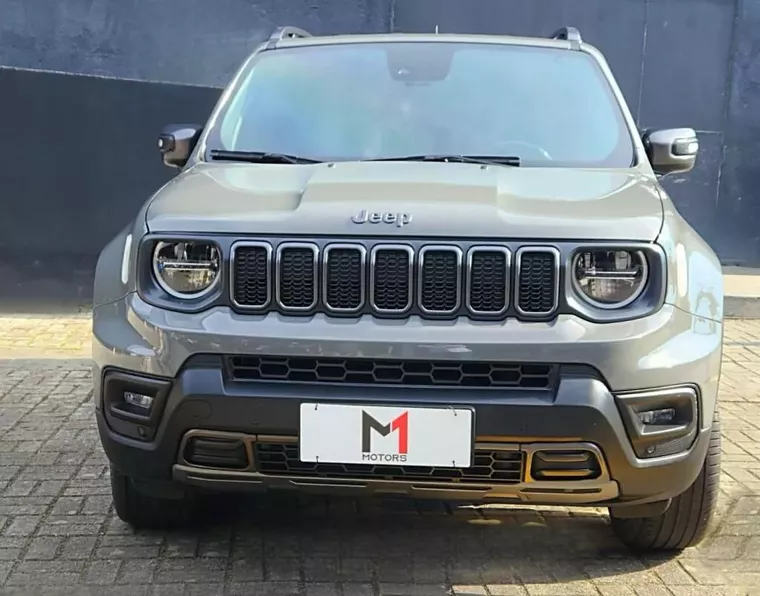 Jeep Renegade Cinza 14