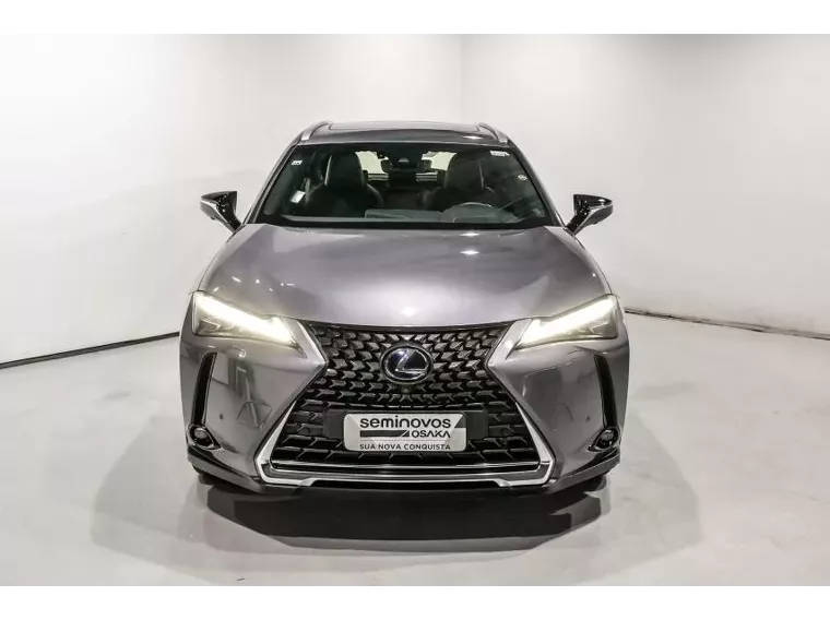 Lexus UX 250H Cinza 6