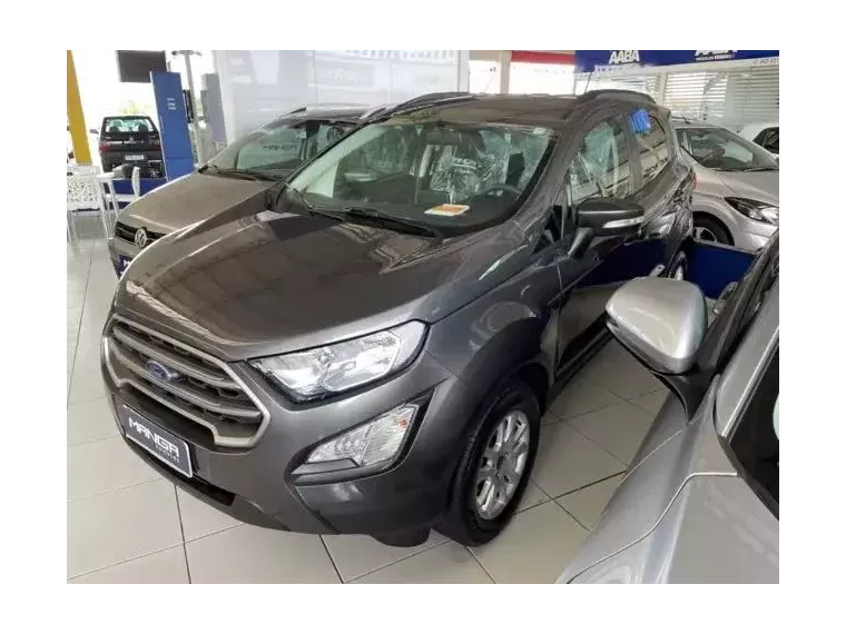 Ford Ecosport Cinza 4