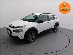 C4 Cactus