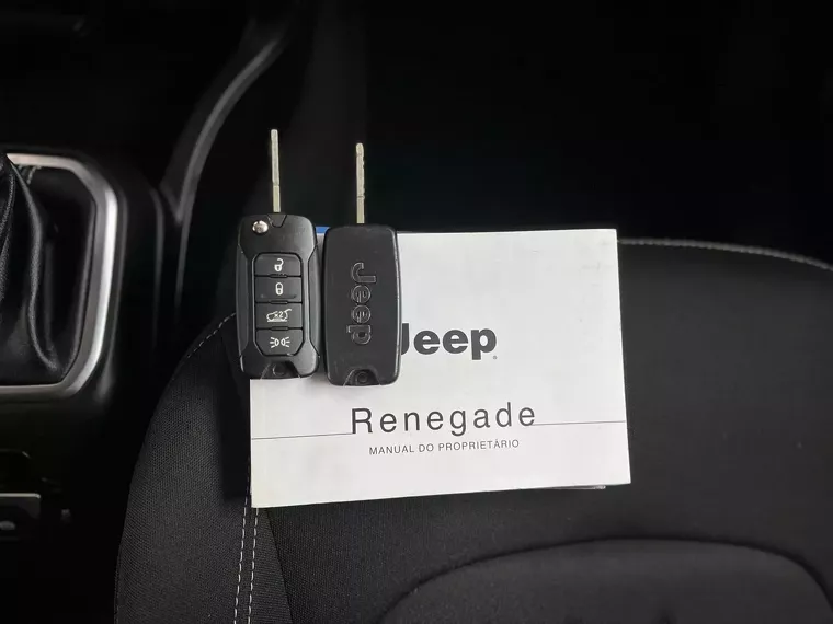 Jeep Renegade Cinza 19