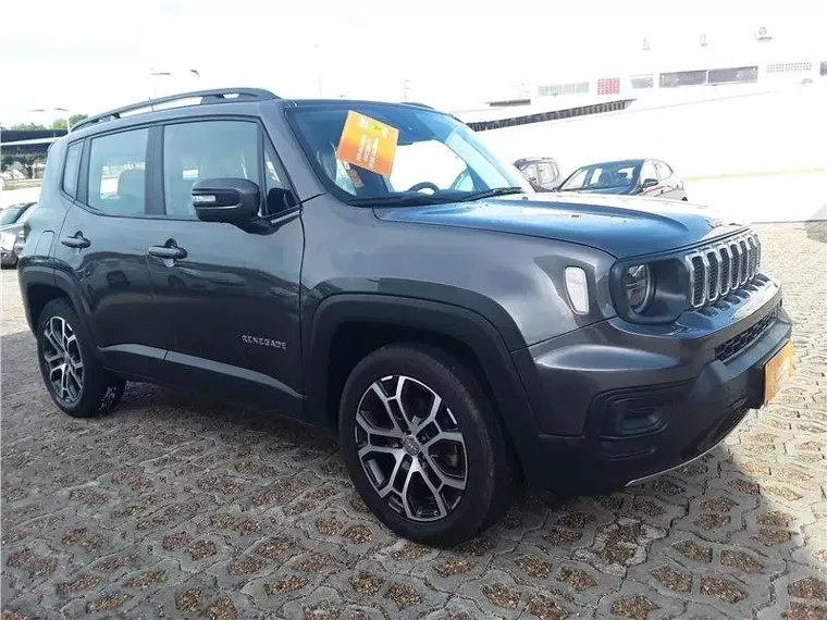 Jeep Renegade Cinza 3