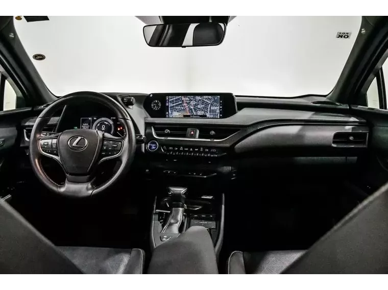 Lexus UX 250H Cinza 16