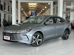 BYD King
