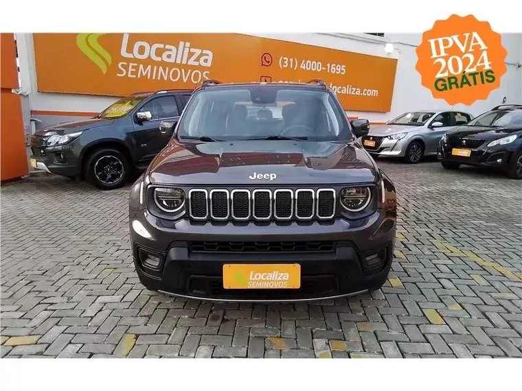 Jeep Renegade Cinza 1