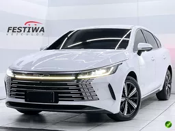 BYD King