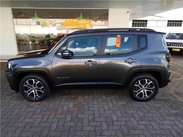 Jeep Renegade Cinza 14