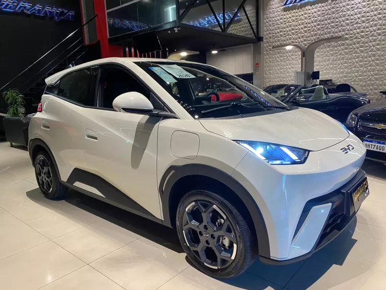 BYD Dolphin Mini 38 KW ELÉTRICO 2026