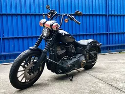 Street Bob