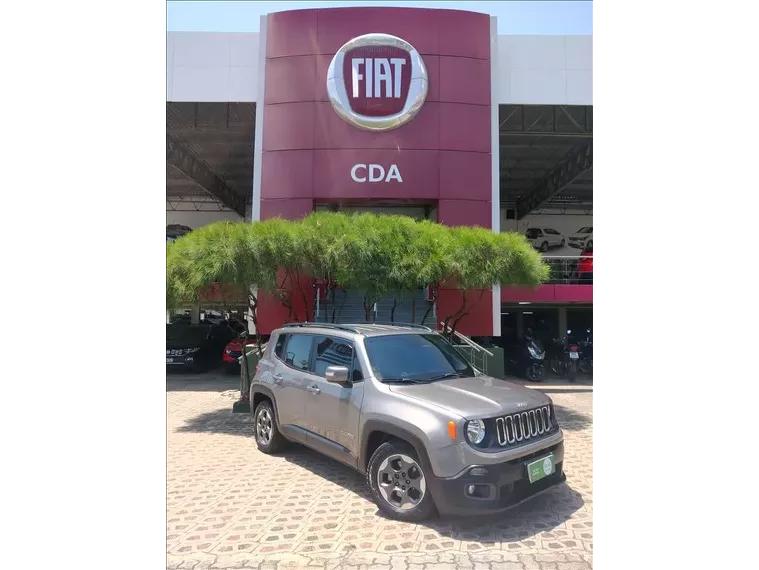 Jeep Renegade Cinza 8