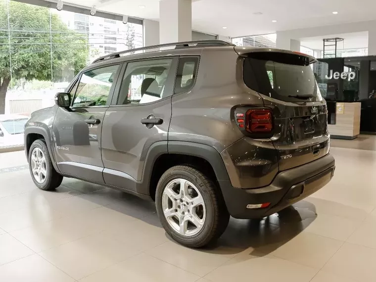 Jeep Renegade Cinza 6