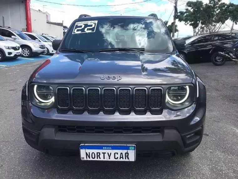 Jeep Renegade Cinza 5