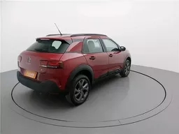 C4 Cactus