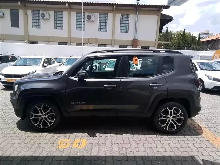 Jeep Renegade Cinza 3