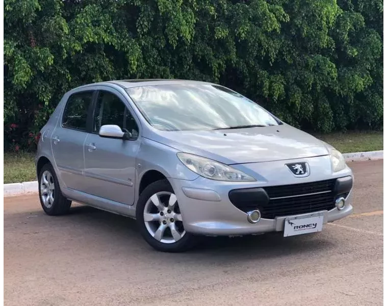 Peugeot 307 Prata 7