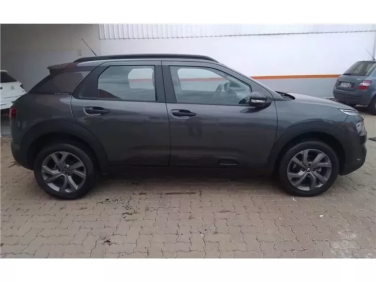 Citroën C4 Cactus Cinza 13