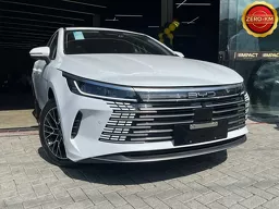 BYD King
