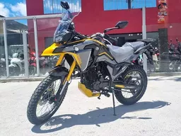 XY 250