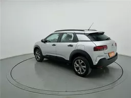 C4 Cactus