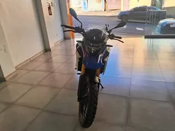 G 310 GS