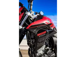 Yamaha XTZ 250
