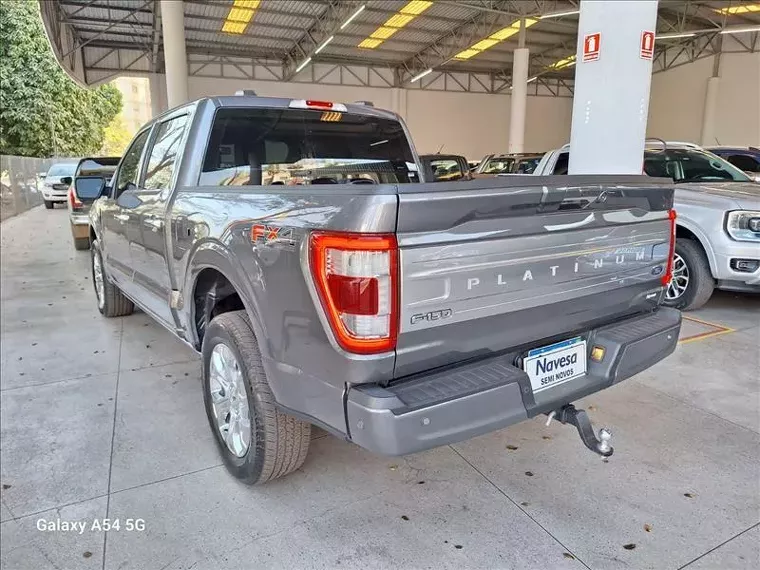 Ford F-150 Cinza 14