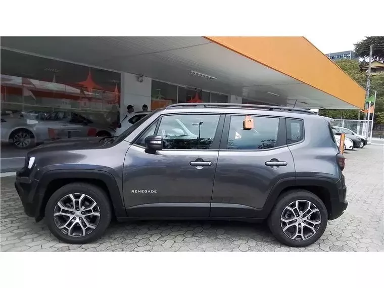 Jeep Renegade Cinza 2