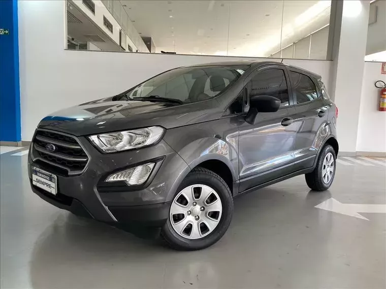 Ford Ecosport Cinza 7