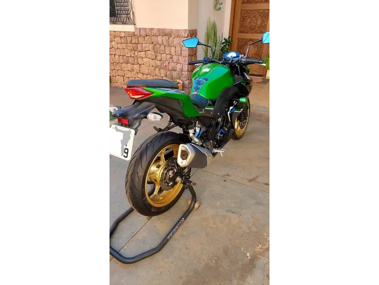 Kawasaki Z Verde 7