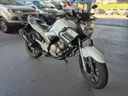 YS 250