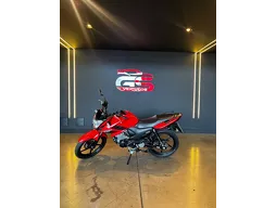 YS 150