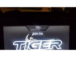 Tiger 900