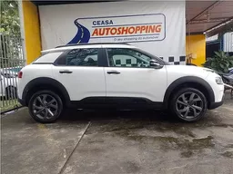 C4 Cactus