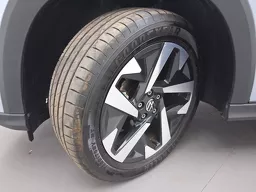 Volkswagen Tera