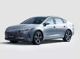 BYD King