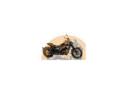 XY 250