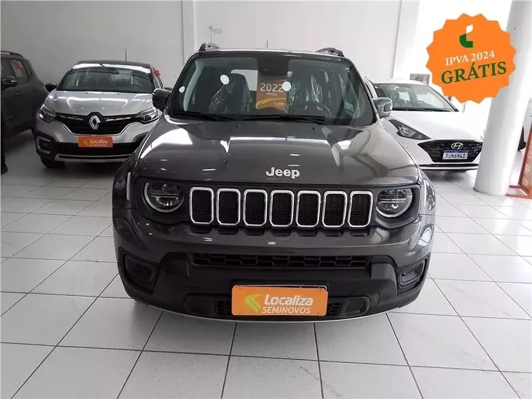 Jeep Renegade Cinza 8