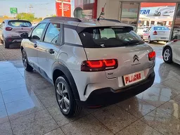 C4 Cactus