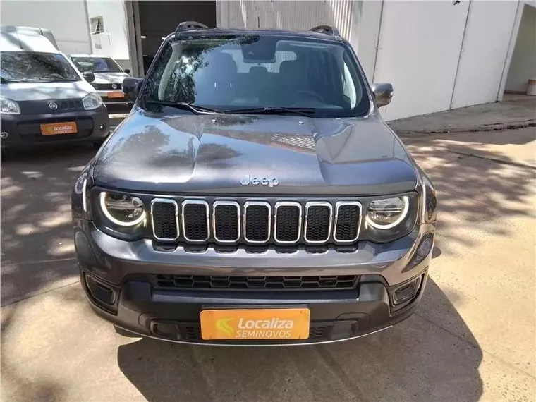 Jeep Renegade Cinza 1