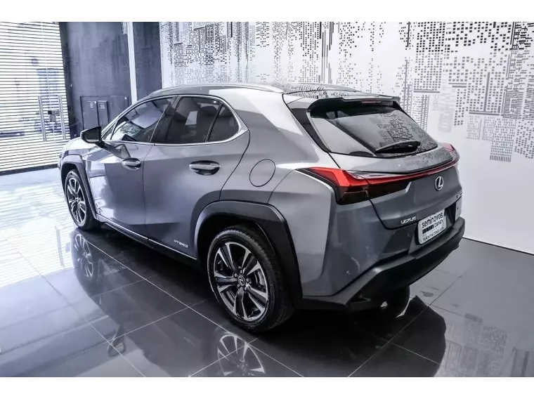 Lexus UX 250H Cinza 1