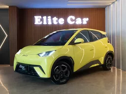 BYD Dolphin Mini