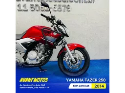 YS 250