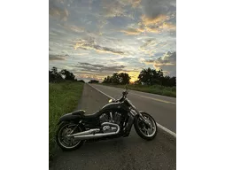 V-Rod