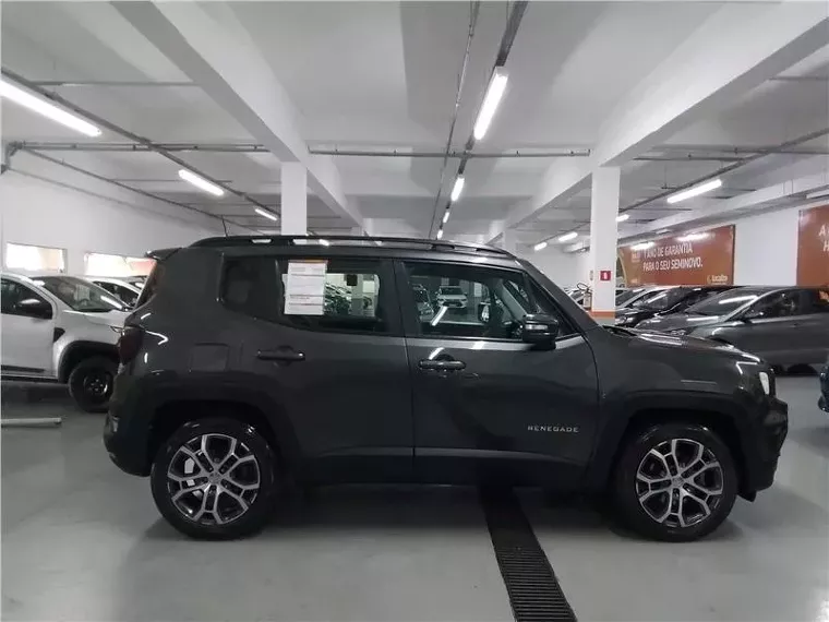 Jeep Renegade Cinza 3