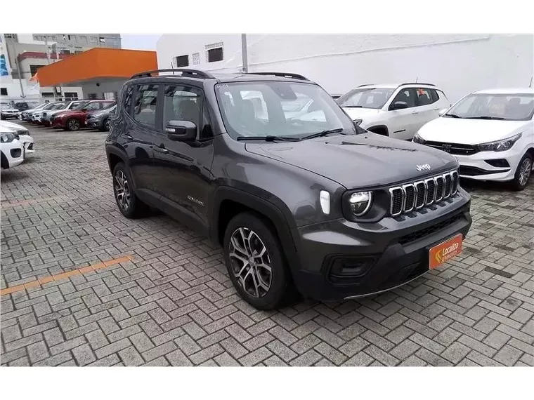 Jeep Renegade Cinza 3