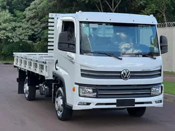 Volkswagen Delivery